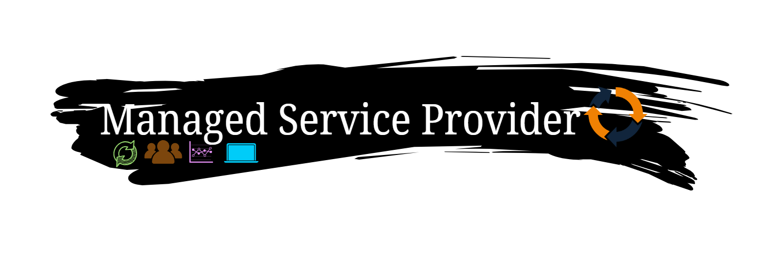 Managed Service Provider