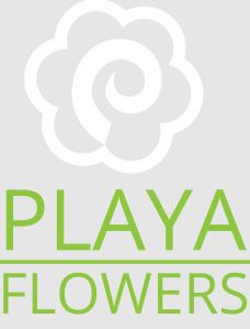 Playa Del Rey Florist