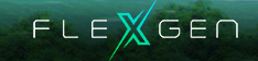 FlexGen