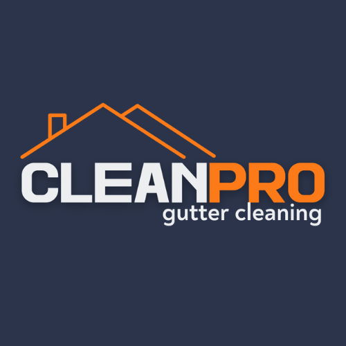 Clean Pro Gutter Cleaning