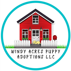 Windy Acres Puppies