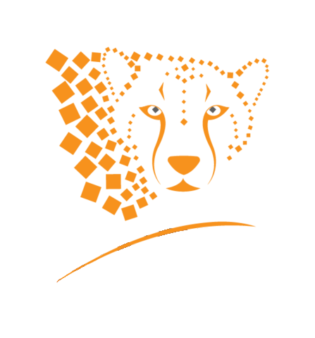 Speedy Dumpster Solutions