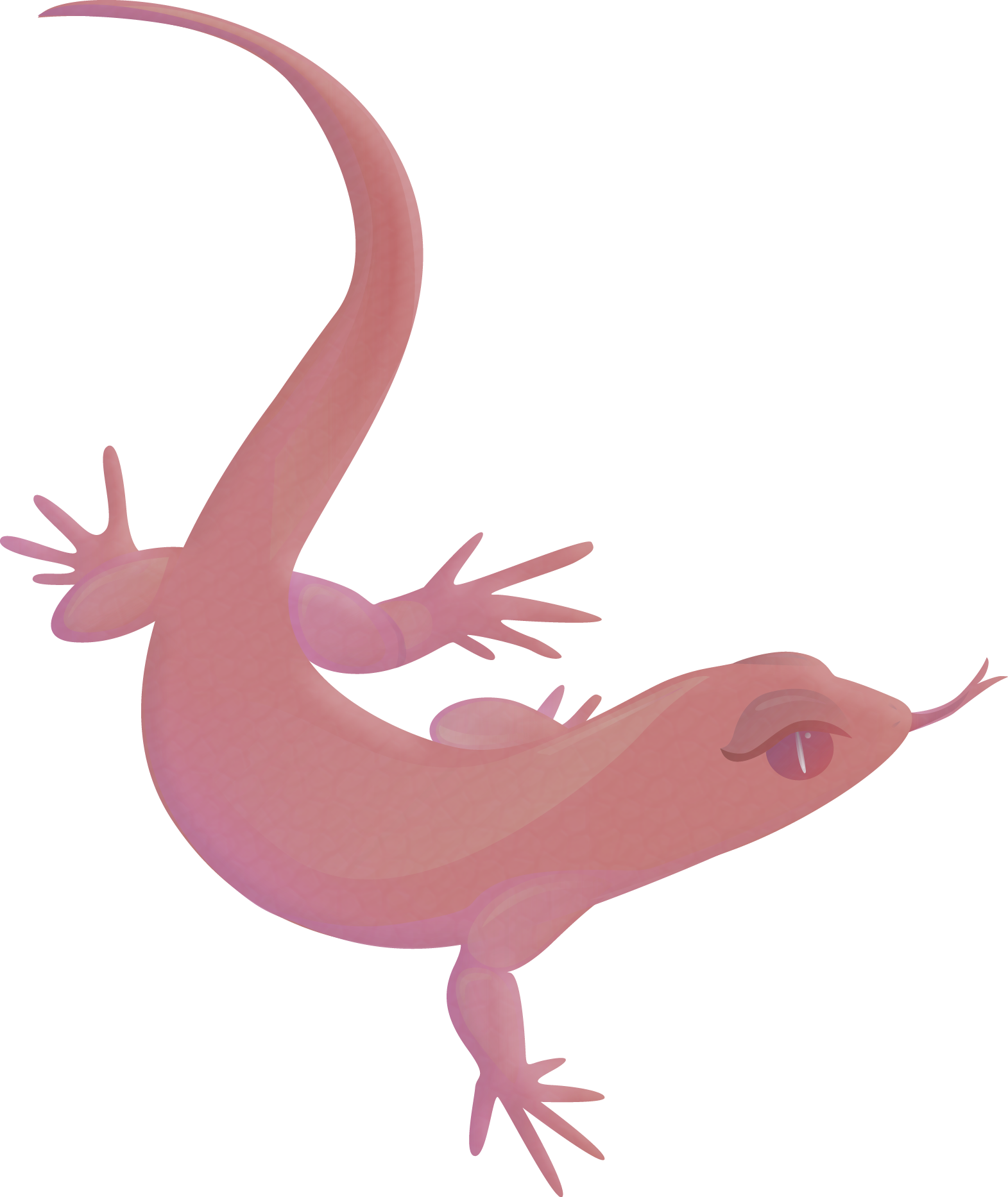 Purely Triton Limited