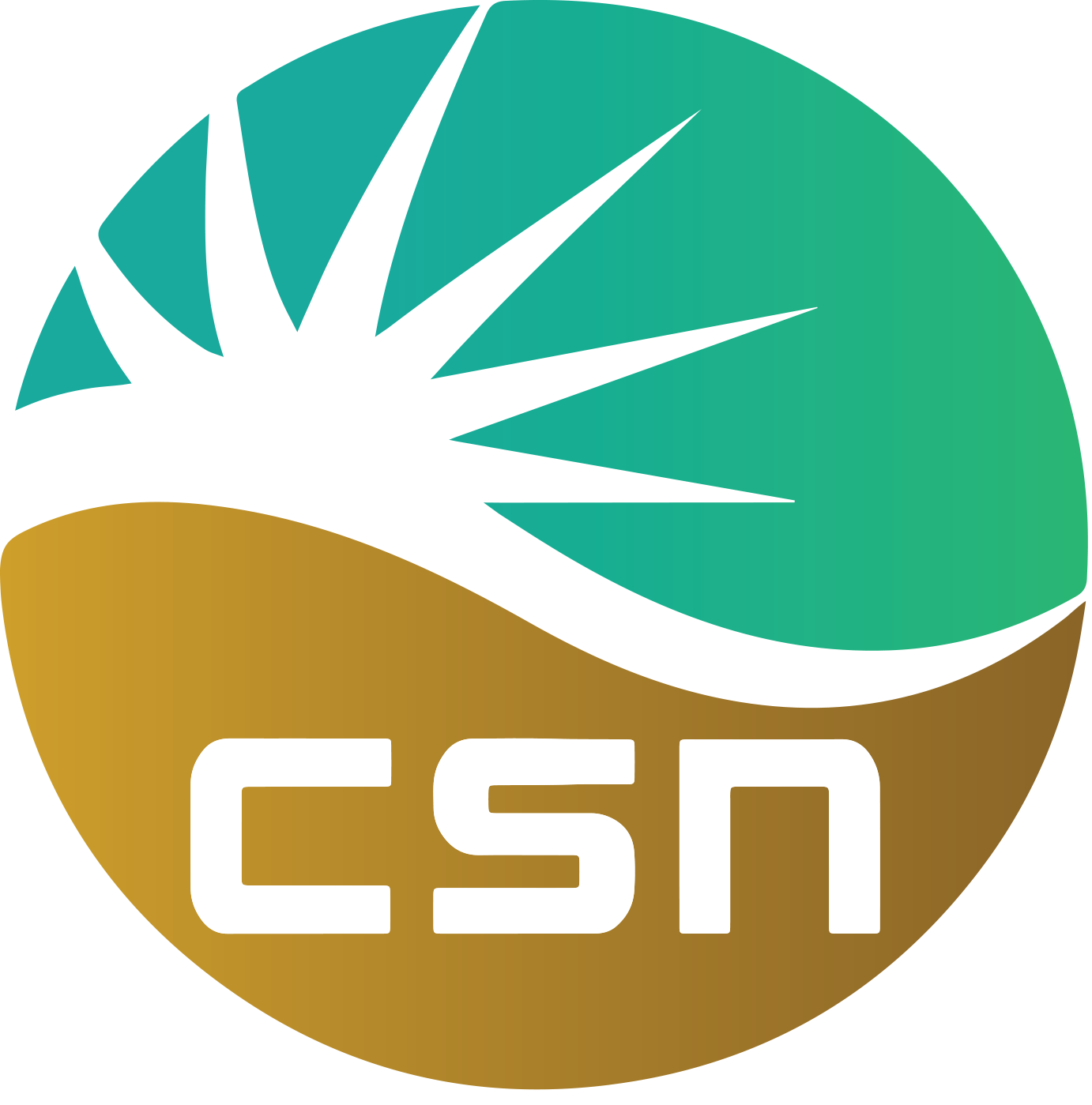 Cell Surgical Network