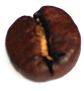 Specialty Coffee Beans