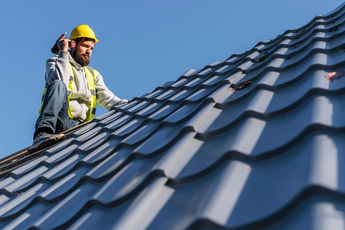 The Roof Sharks Corona