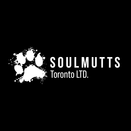 Soulmutts Toronto - Dog Daycare & Boarding