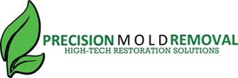 Precision Mold Removal And Water Damage Restoration Dallas