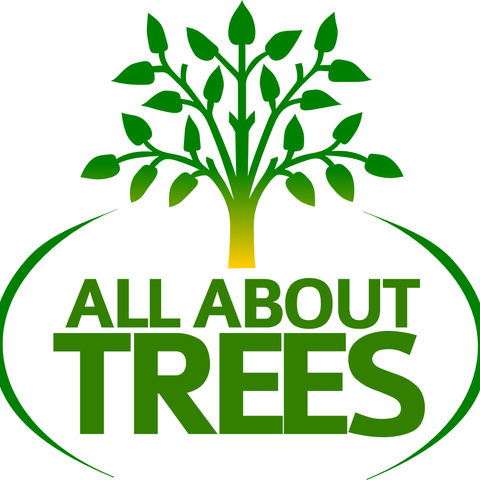 All About Trees