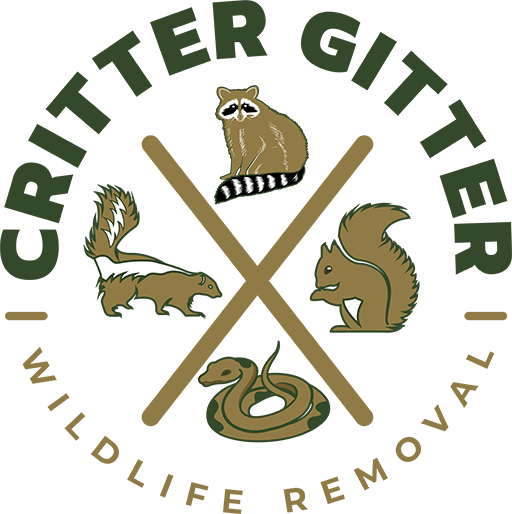 Critter Gitter Wildlife Removal