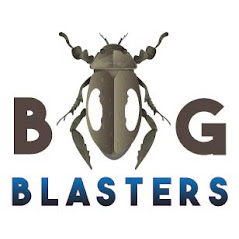 Bug Blasters