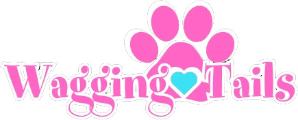 Wagging Tails Pet Resort and Spaw - Newington, CT