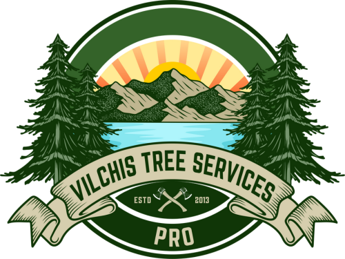 Vilchis Tree Services Pro