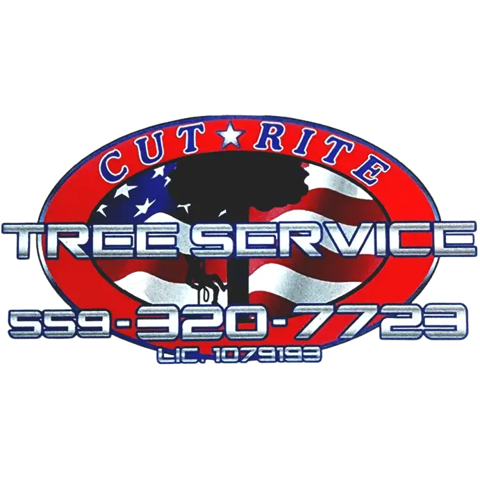 Cut Rite Tree Service Fresno