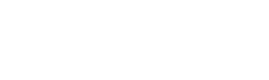 Guardian Wealth Strategies