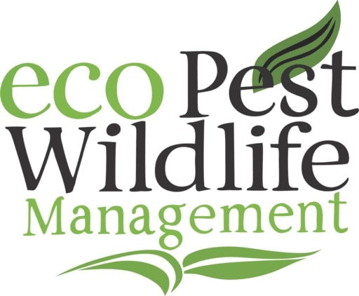 ecoPest Wildlife Management Oregon