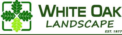 White Oak Landscape