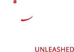 All Dogs Unleashed Dog Training Dallas