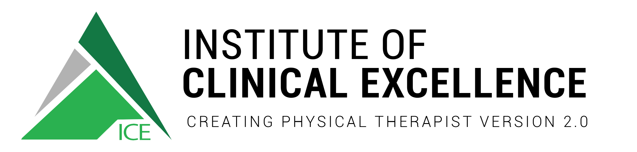 Institute of Clinical Excellence