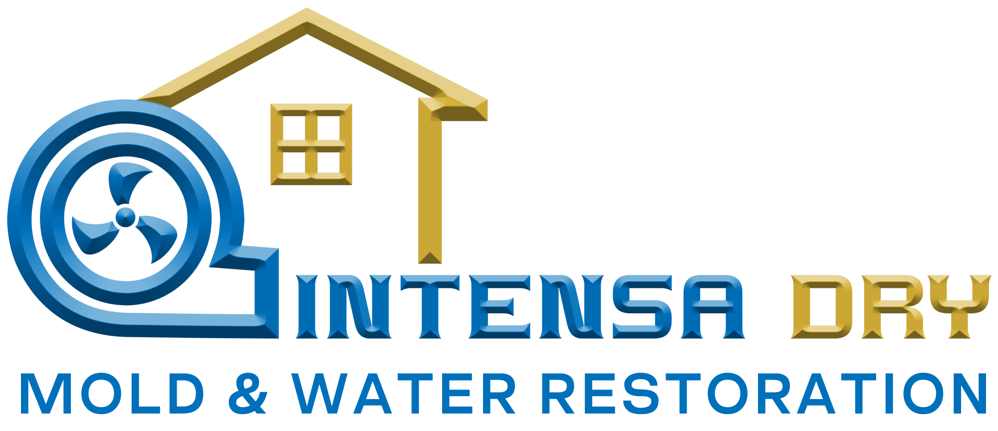 Intensa Dry Mold & Water Restoration