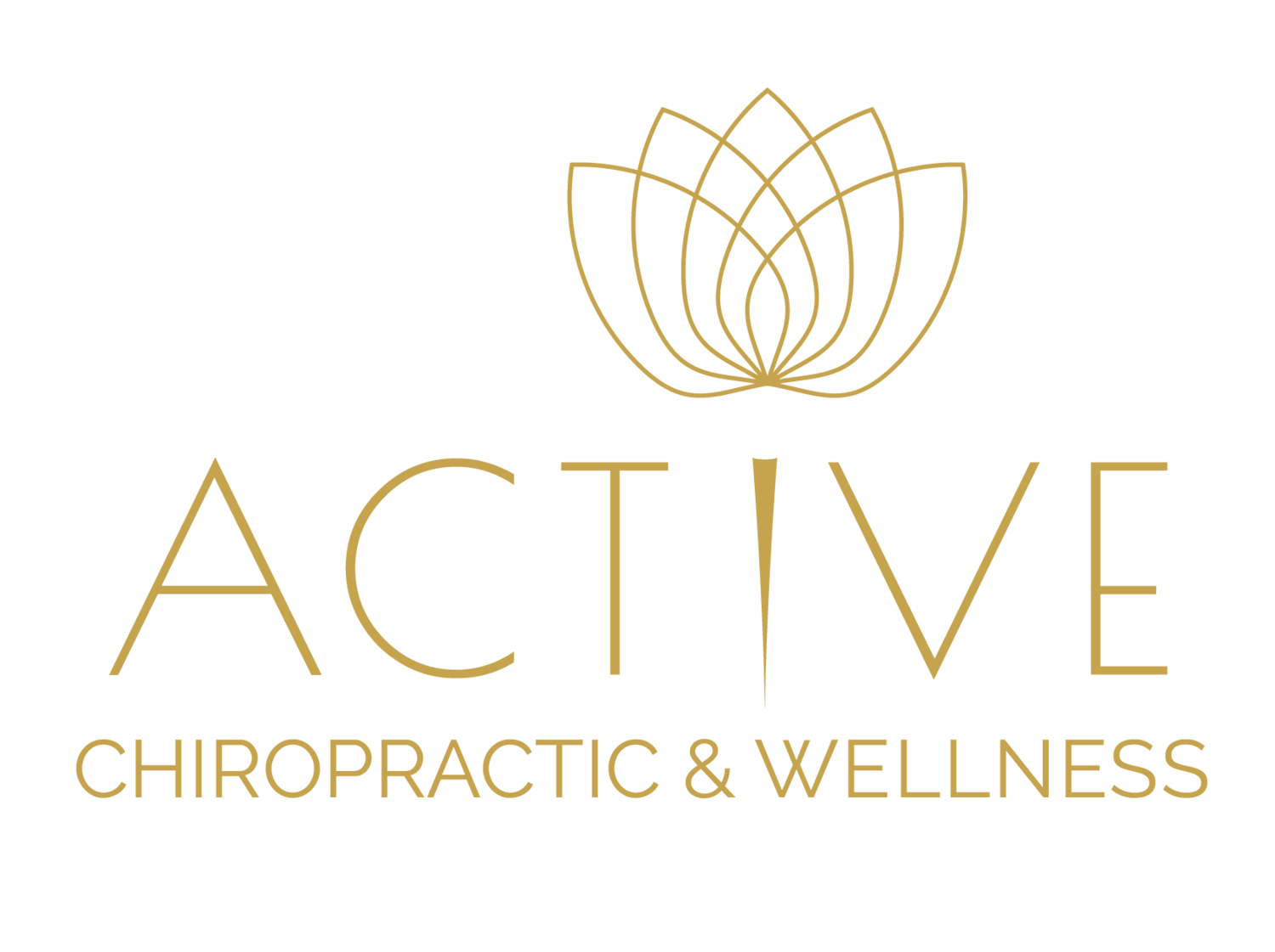 Active Chiropractic