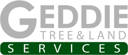 Geddie Tree & Land Services Expands Residential Tree Removal Services Across Hattiesburg Region
