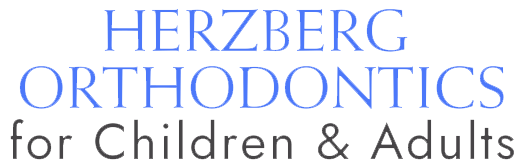 Stephen L. Herzberg, D.D.S., P.C.
