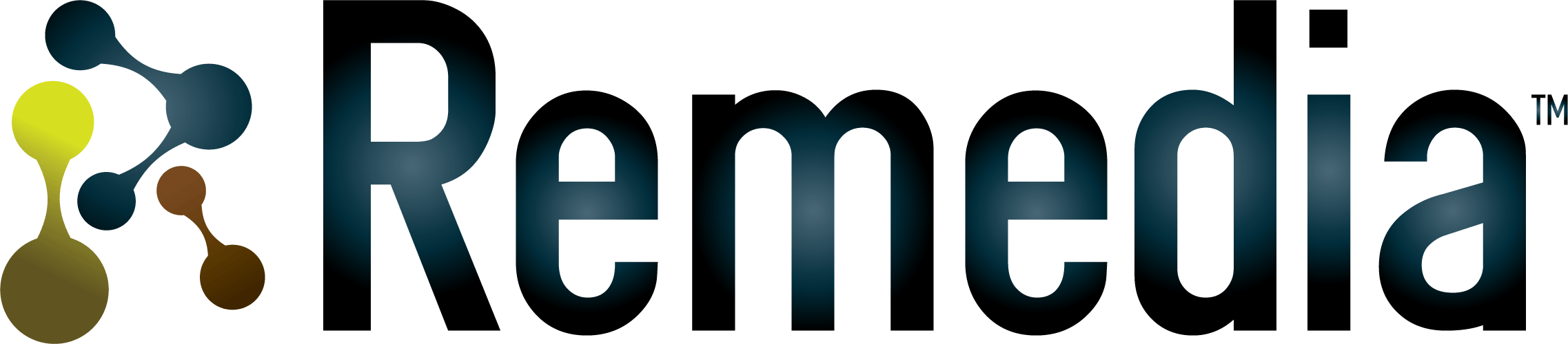 Remedia International 