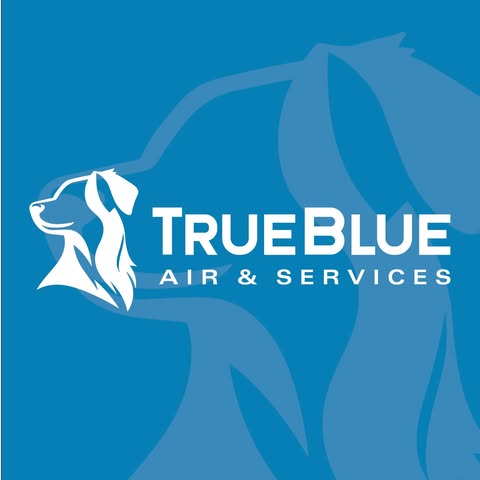 TrueBlue AC Services