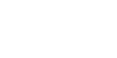 Pinnacle Limousine and Party Bus
