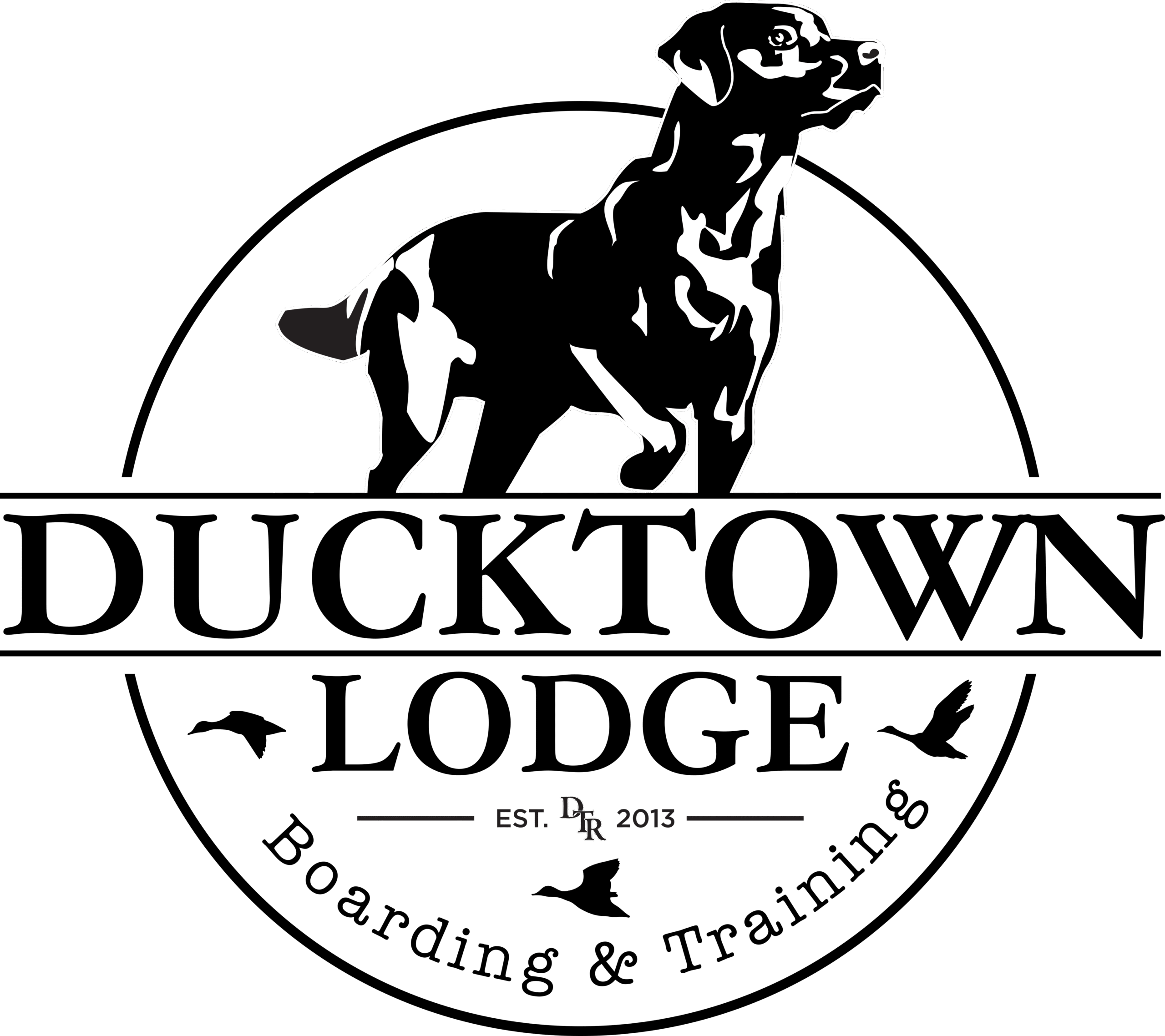 Ducktown Lodge & Dog Training