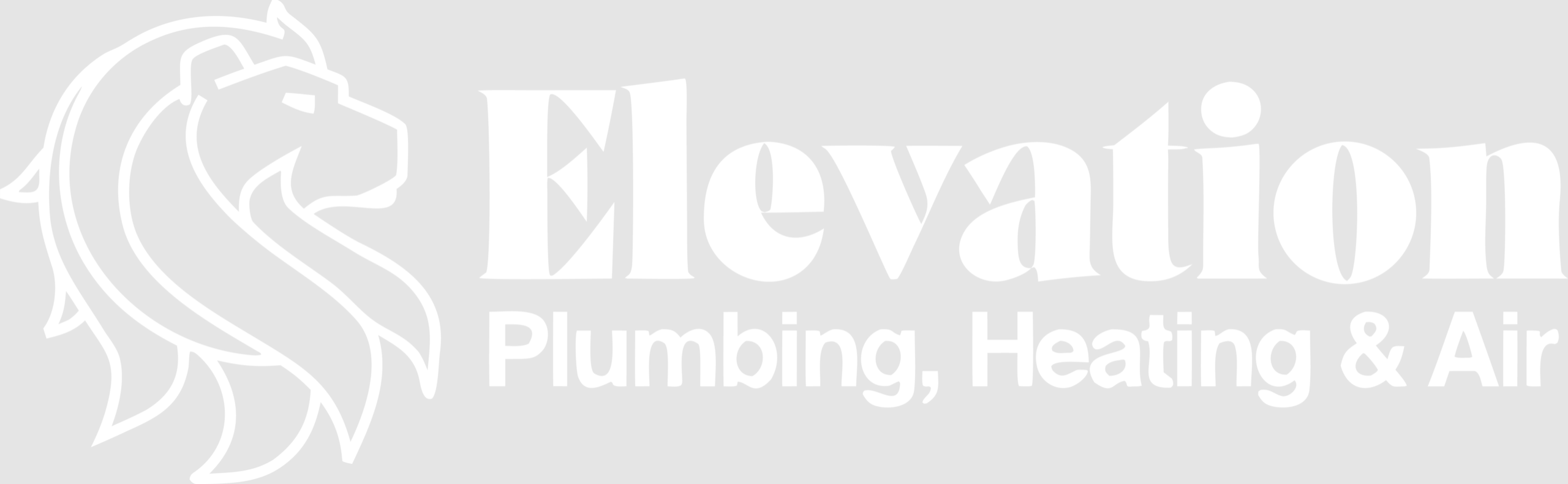 Elevation Plumbing heating & Air