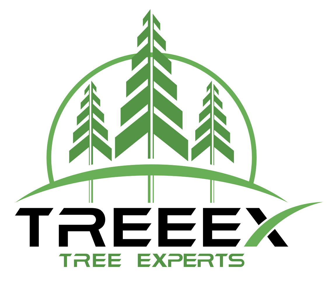 Treeex Tree Experts