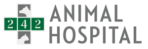 Veterinary Professionals Emphasize Rapid Response Protocols for Pet Trauma