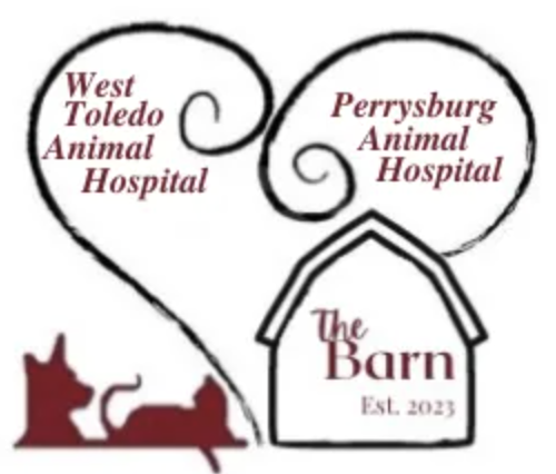 Perrysburg Animal Hospital Releases Technical Brief on Biomechanical Conditioning and Canine Hydrotherapy Protocols