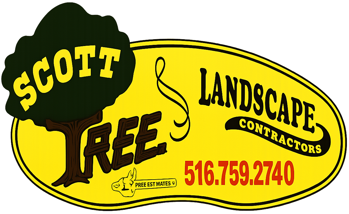 Scott Tree Company Inc Expands Specialized Arboriculture Service Area