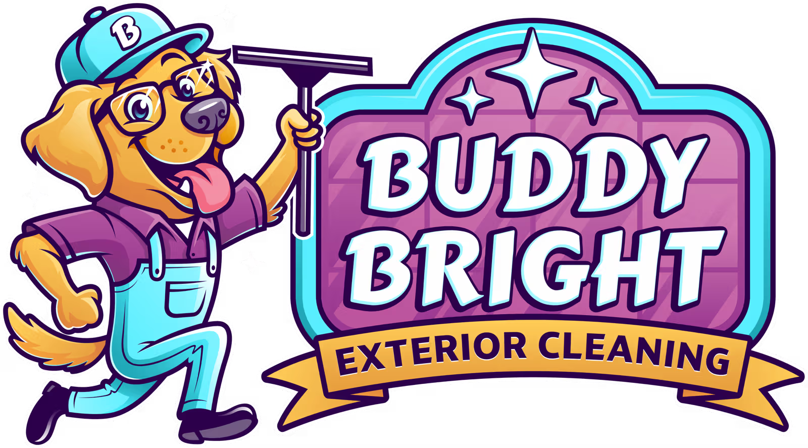 Buddy Bright Pressure Washing & Roof Cleaning