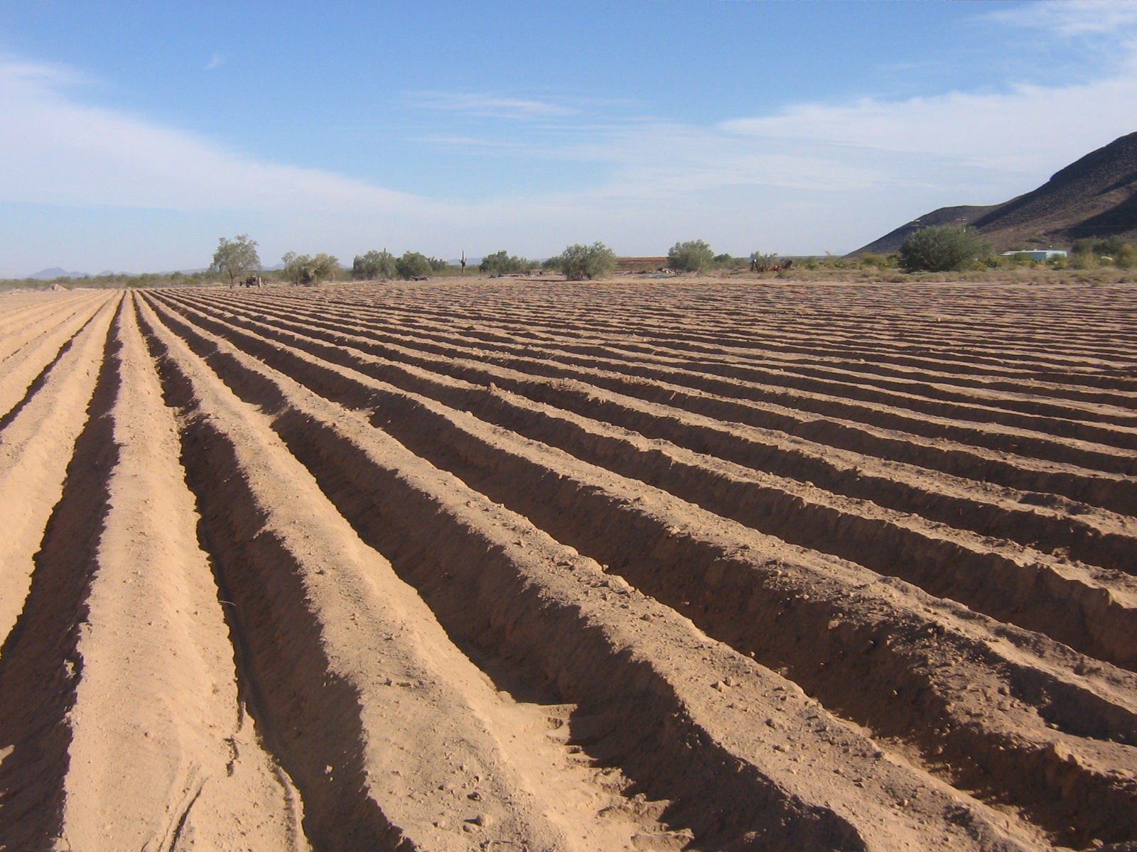 AZ Land List
