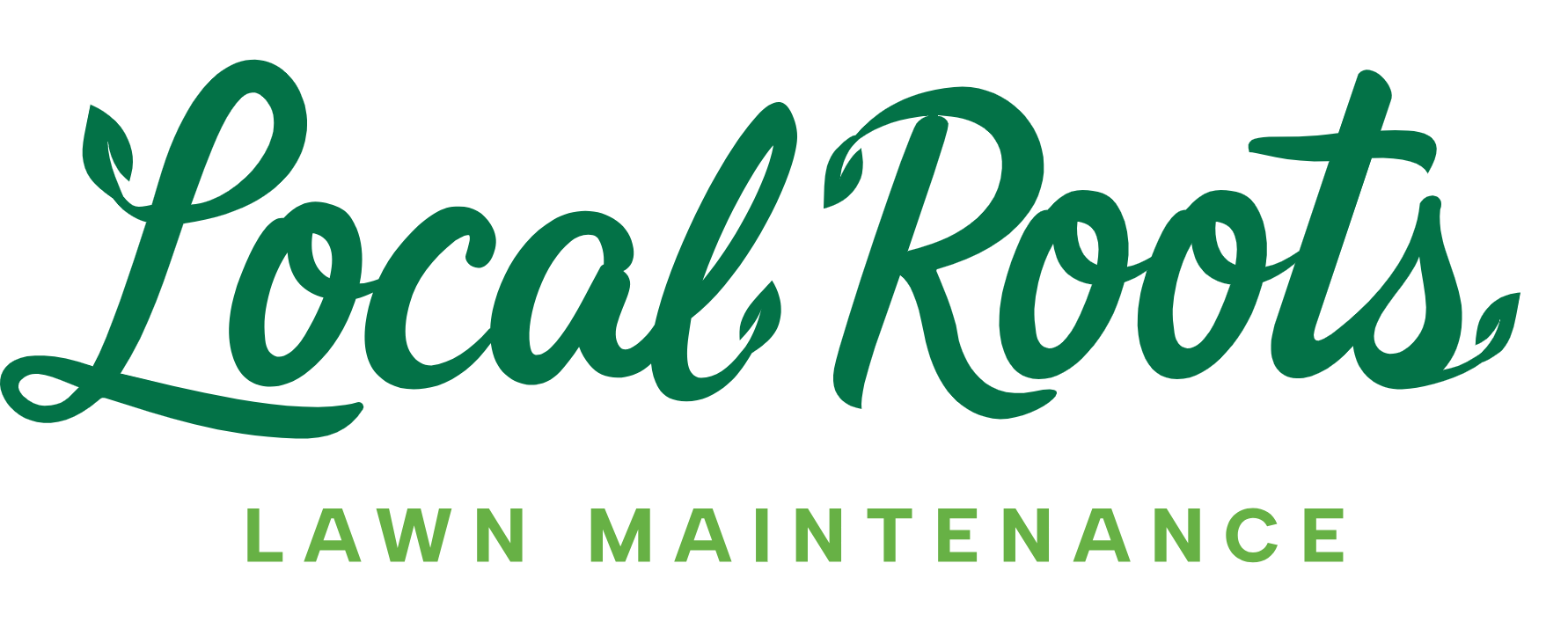 Sod Installation Focuses on Soil Preparation and Grass Selection