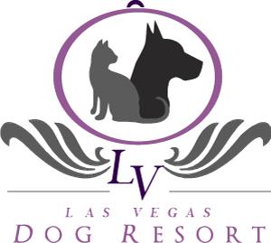 Las Vegas Dog Resort