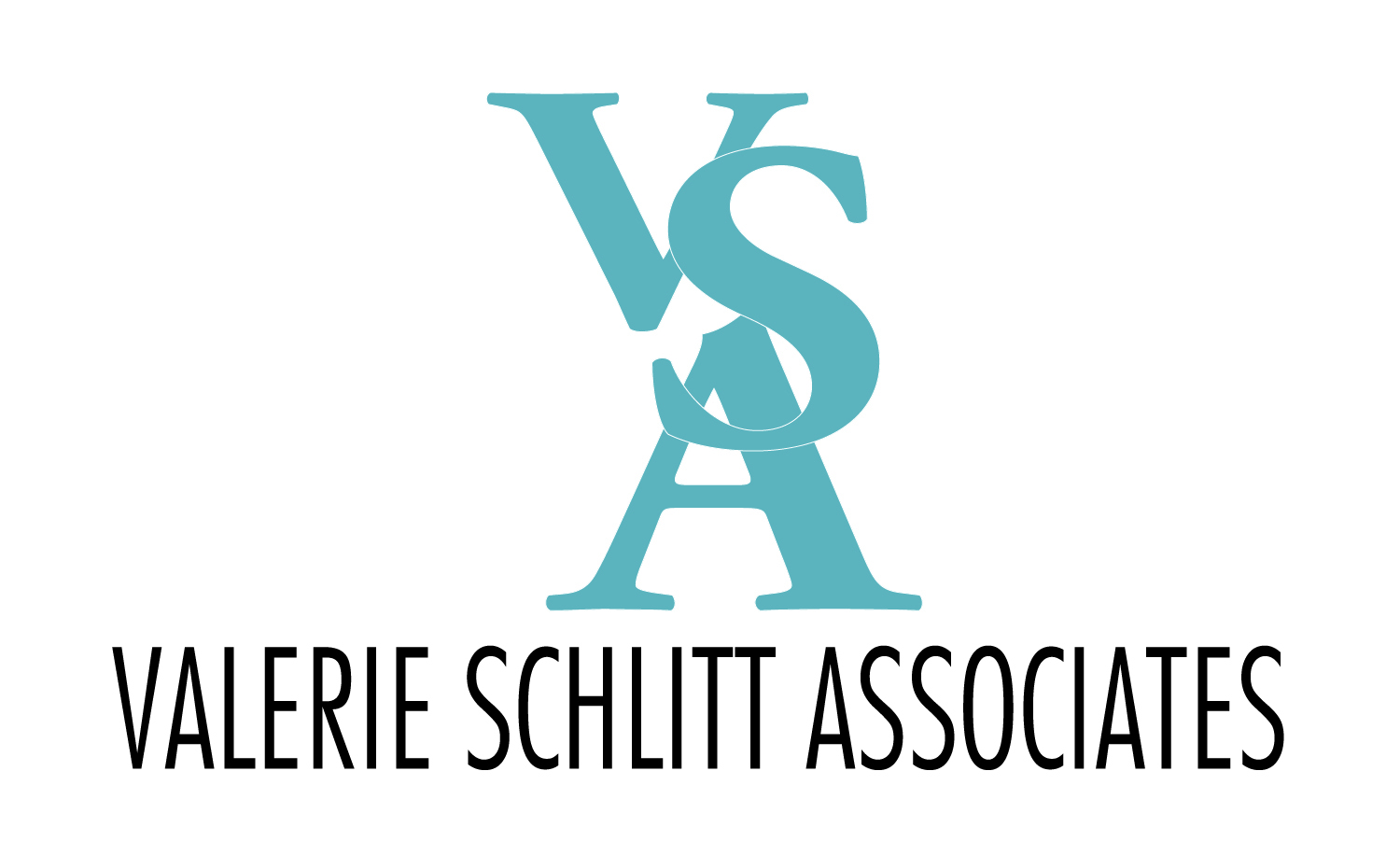 VSA Inc Launches Prospecting Program With Aligned2aT VSA Inc Launches Prospecting Program With Aligned2aT