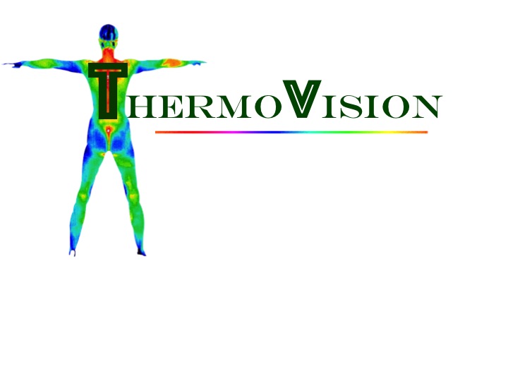 ThermoVision