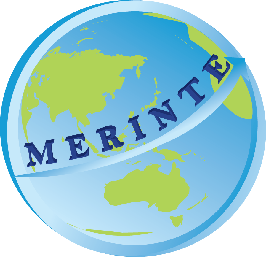 MERINTE
