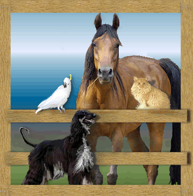 Naturals For Animals