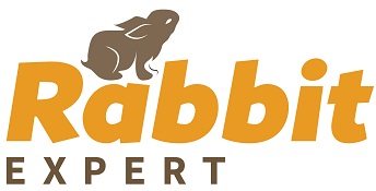 Rabbit Expert