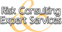 Risk Consulting & Expert Services