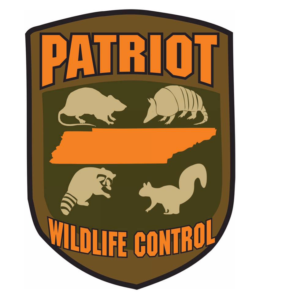 Patriot Wildlife Control