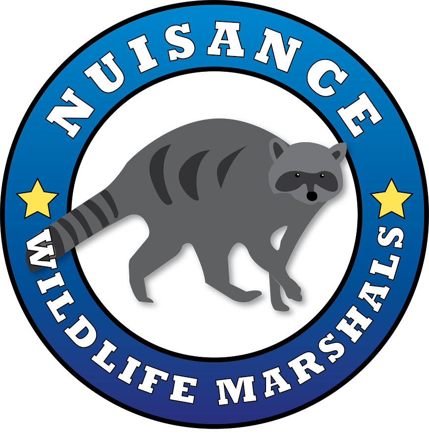 Nuisance Wildlife Marshals