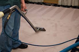 Rapid Carpet Cleaning