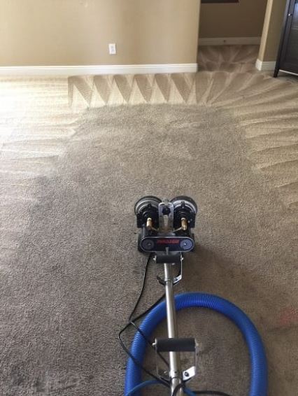 World Class Carpet Cleaning
